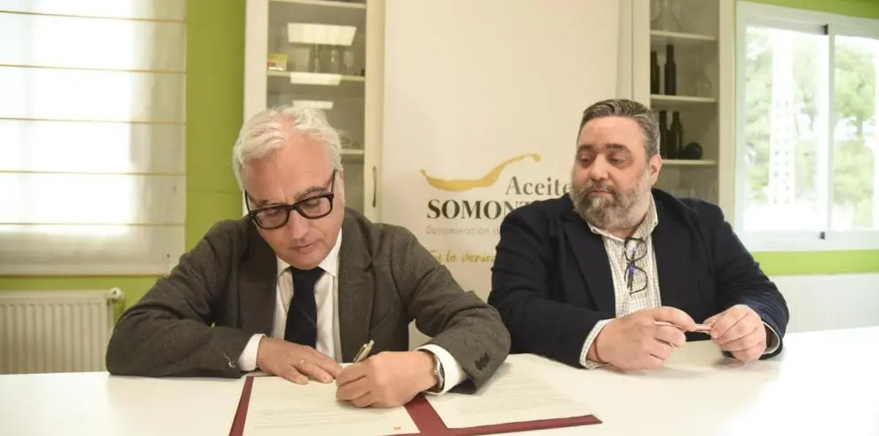 20251111 aceite Somontano concede DOP