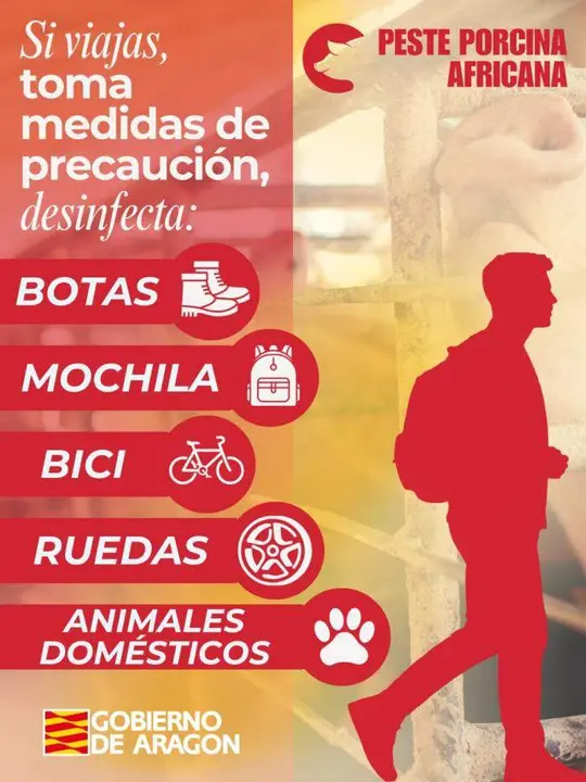 El Gobierno de Arag&oacute;n refuerza la campa&ntilde;a de prevenci&oacute;n frente a la peste porcina africana