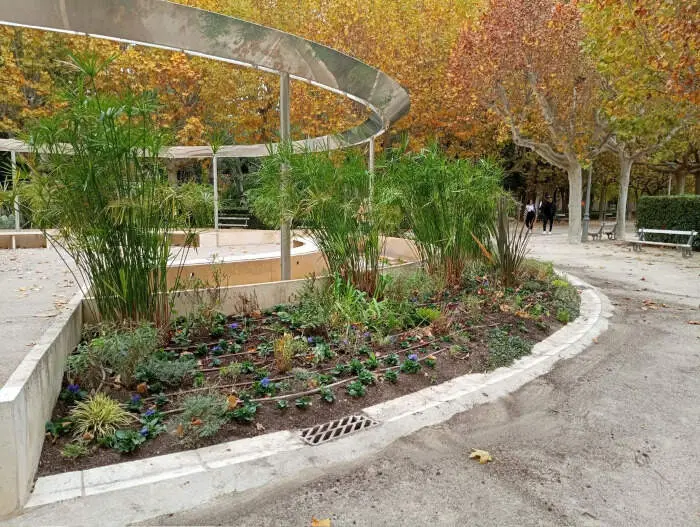 El Ayuntamiento de Huesca refuerza la sostenibilidad urbana con la renovaci&oacute;n de parterres y jardineras de invierno