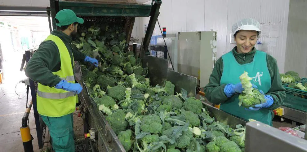 R&eacute;cord de solicitudes en el plan de ayudas a las industrias agroalimentarias de Arag&oacute;n