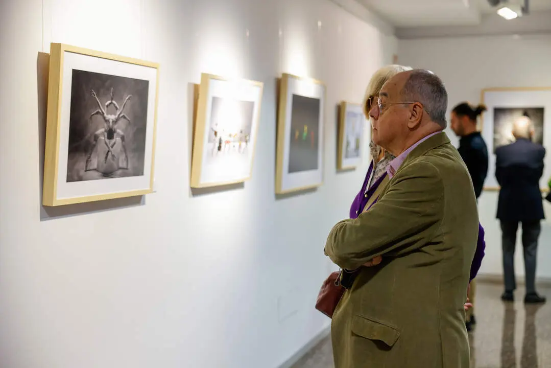 Fundaci&oacute;n Ibercaja y la Real Sociedad Fotogr&aacute;fica de Zaragoza presentan en el Patio de la Infanta el 101&ordm; Sal&oacute;n Internacional de Fotograf&iacute;a