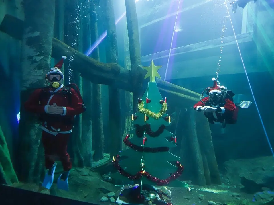 20251217 BUZOS ARBOL DE NAVIDAD FAZB Zaragoza