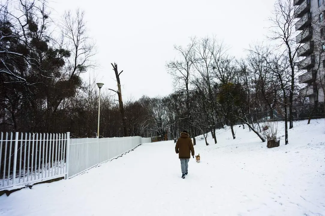 20260102 hombre-paseando-su-perro-sobre-un-terreno-cubierto-de-nieve-durante-el-invierno