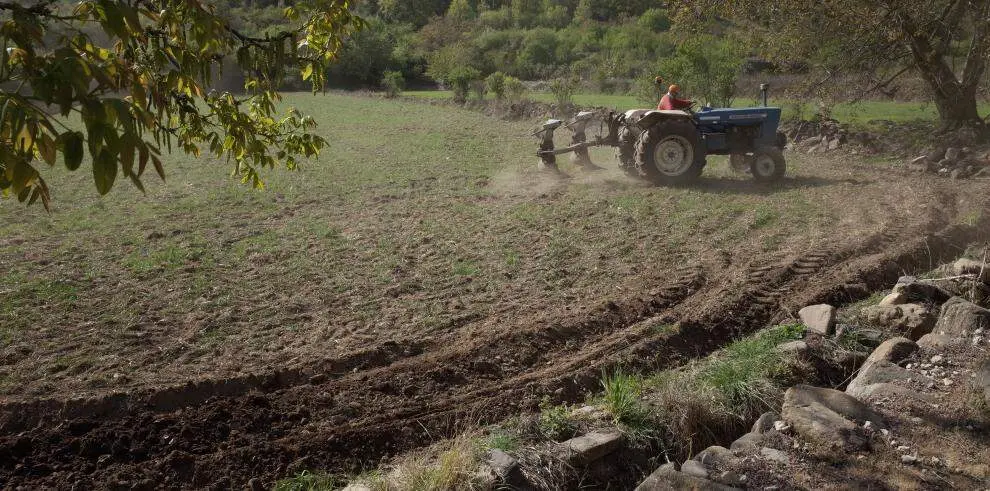 20260104 aragon seguros agrarios