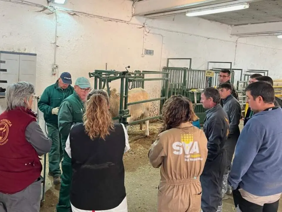 20260104 CITA Garcipollera formacion ganaderia