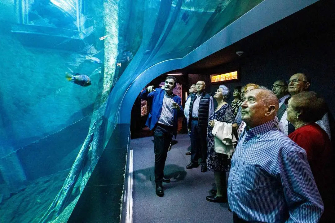 20260107 acuario zaragoza visita centros de convivencia mayores 2025 (2)