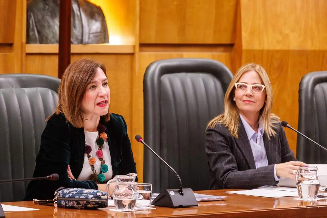 20260113 cultura presupuesto zaragoza