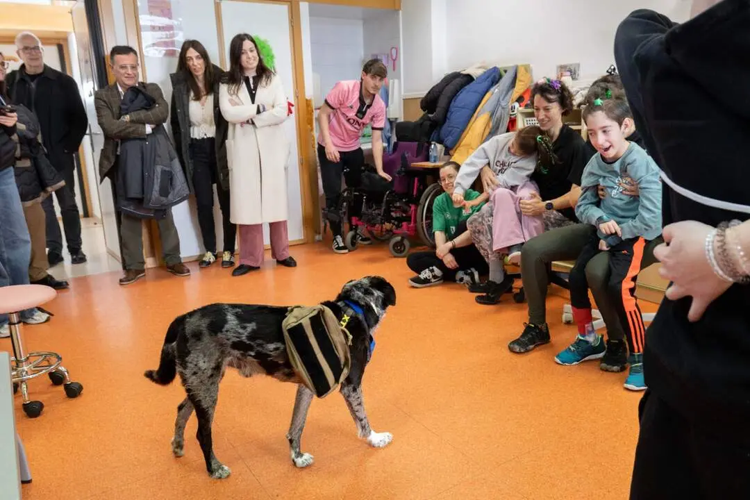 20260211 andada canina zaragoza