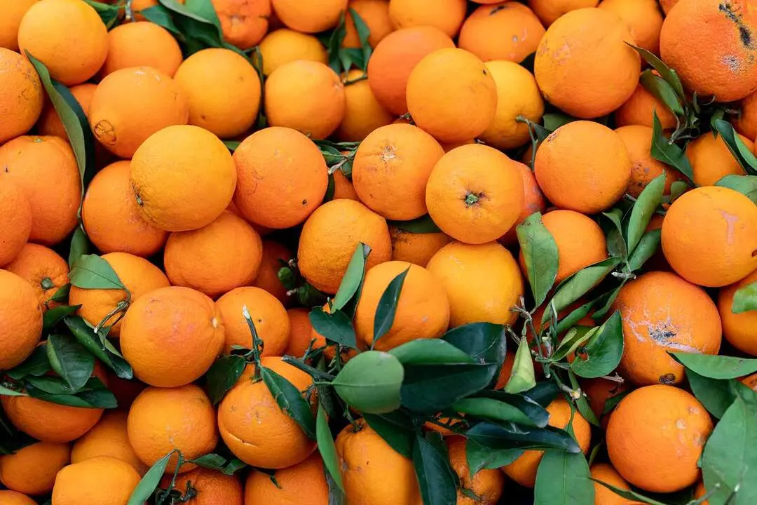healthy fruit oranges on market stall oranges background