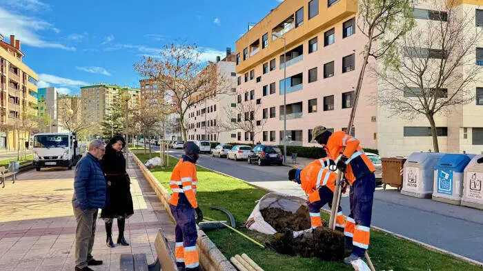 20260218 Huesca CAMPA&Ntilde;A PLANTACI&Oacute;N ARBOLADO