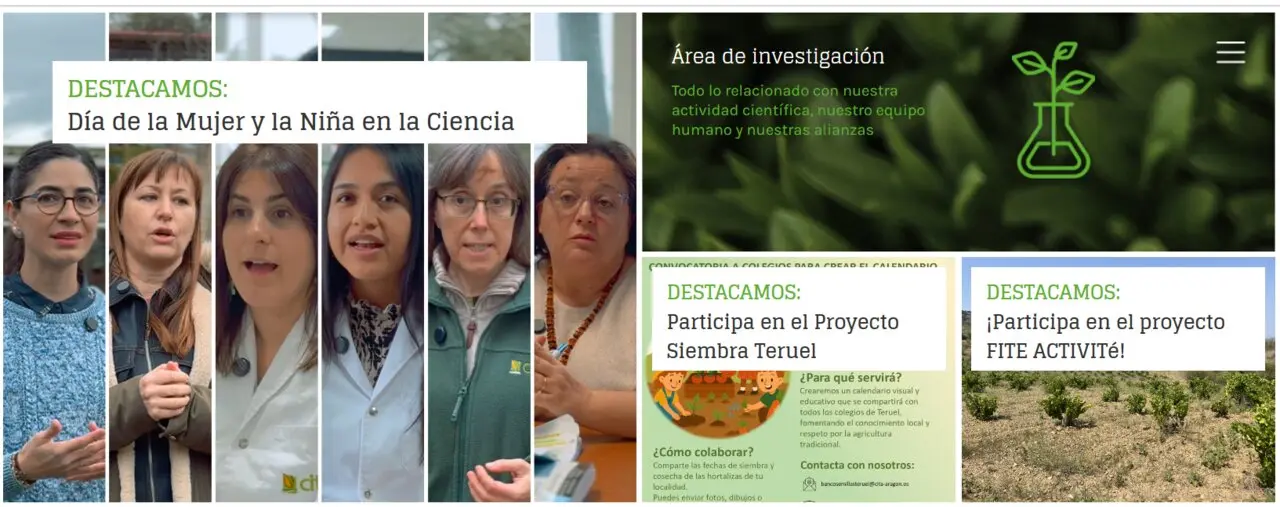 20260225 CITA ARAGON