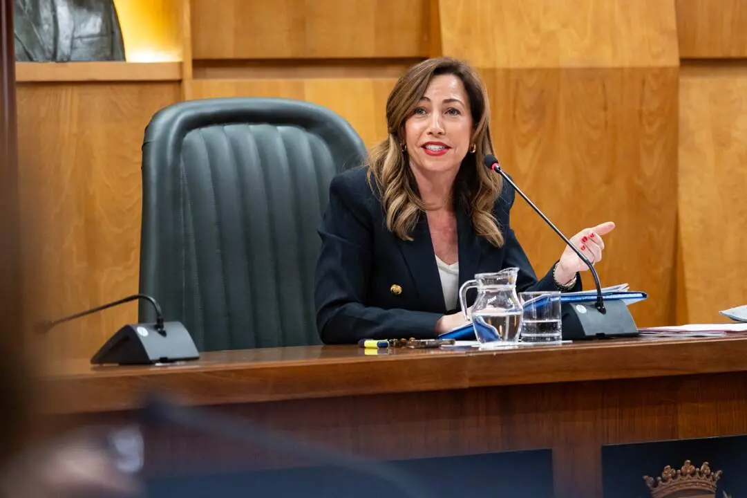 20260226 Zaragoza aprobado presuspuesto 2026