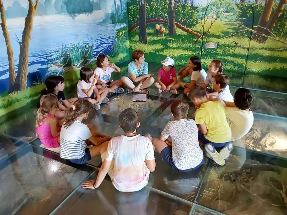 20260303 campus infantil alfranca