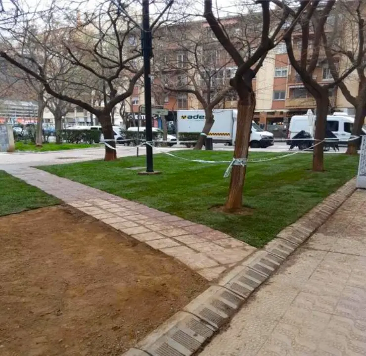 20260315 Zaragoza renovacion_cesped