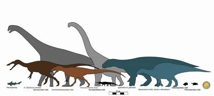 20260318 estudio Teruel vertebrados fosiles