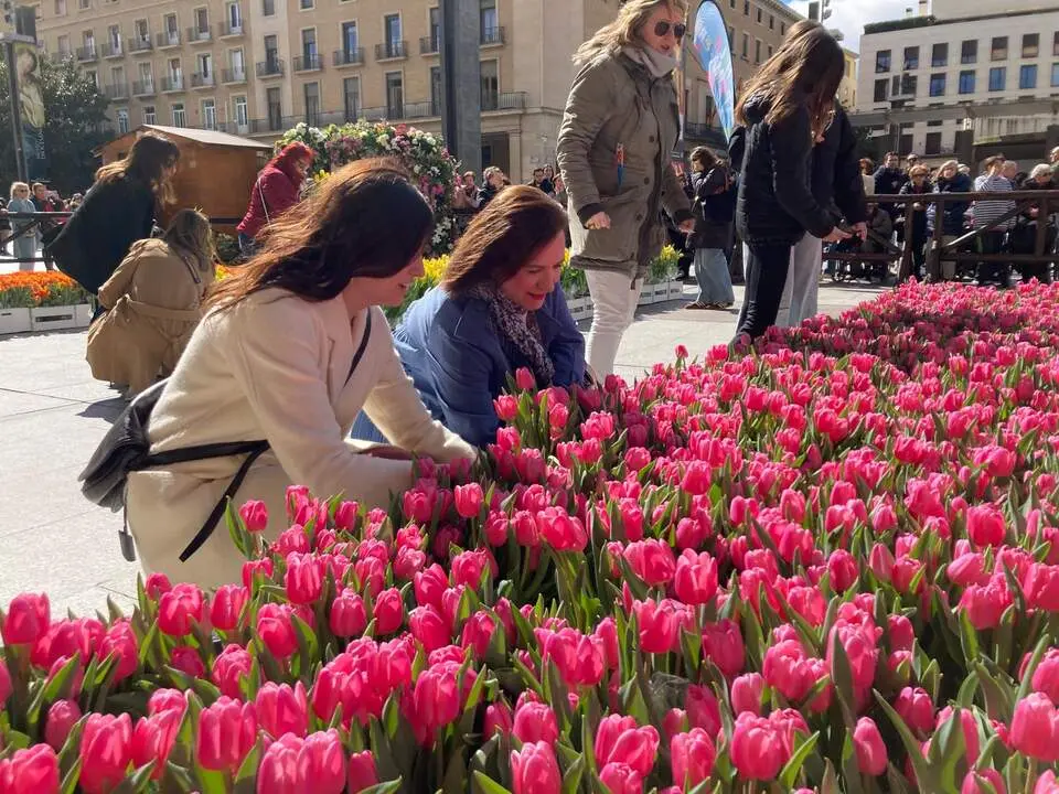 20260319 tulipanes mercado solidario 2025