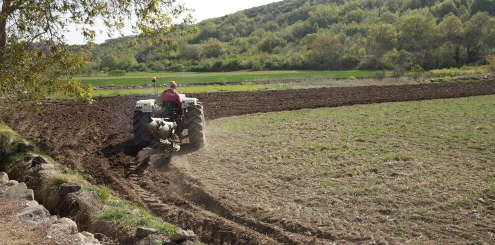 20260325 Agricultura jovenes ayudas