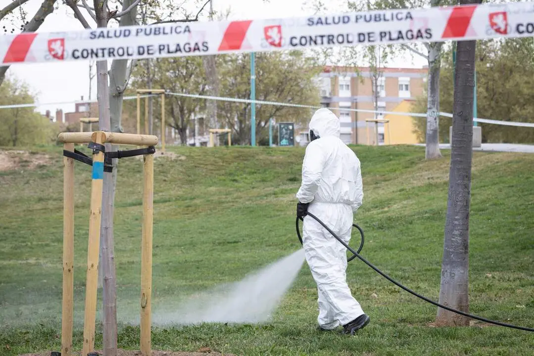 20260331 Zaragoz acontrol plagas