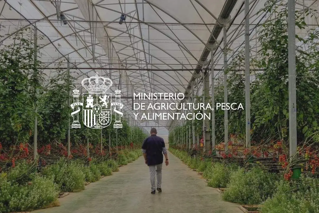 20260407 Cartela Ministerio Agricultura Pesca Alimentaci&oacute;n