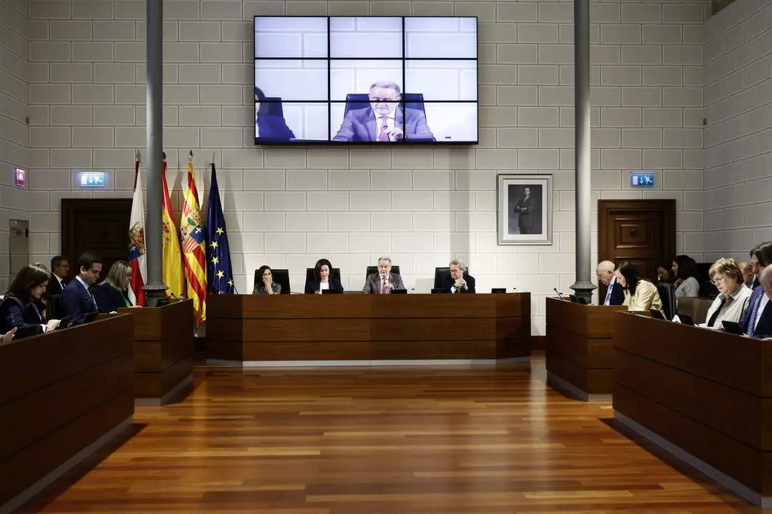 20260408 carrteras foto pleno dpz