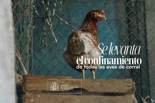 20260416 Nacional-fin-confinamiento-aves-corral