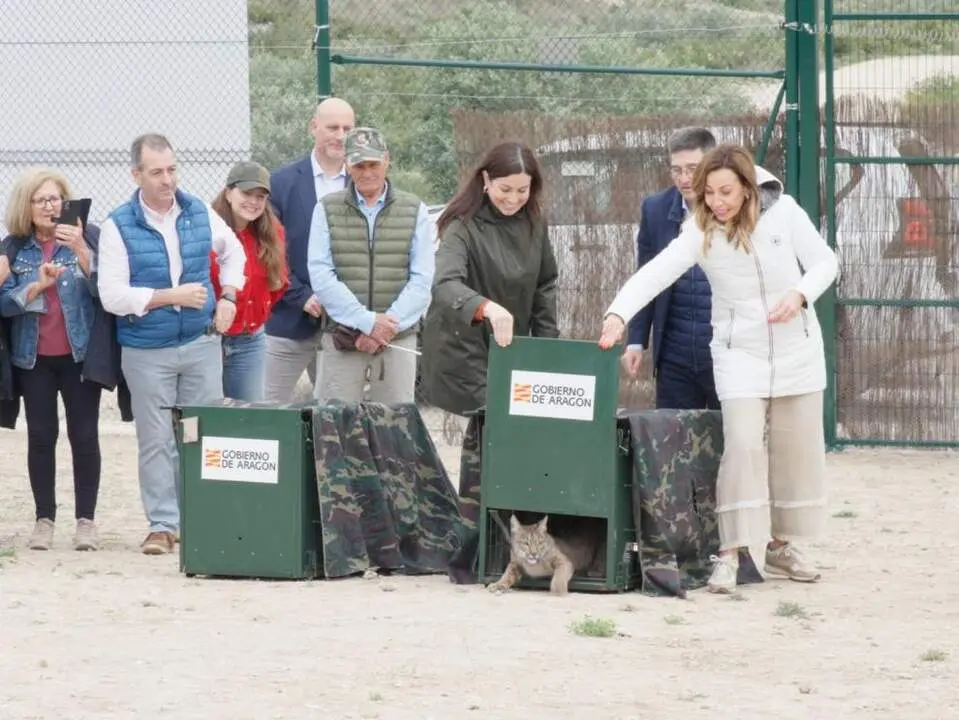 20260429 Lives Ibericos Worbi Waka Aragon