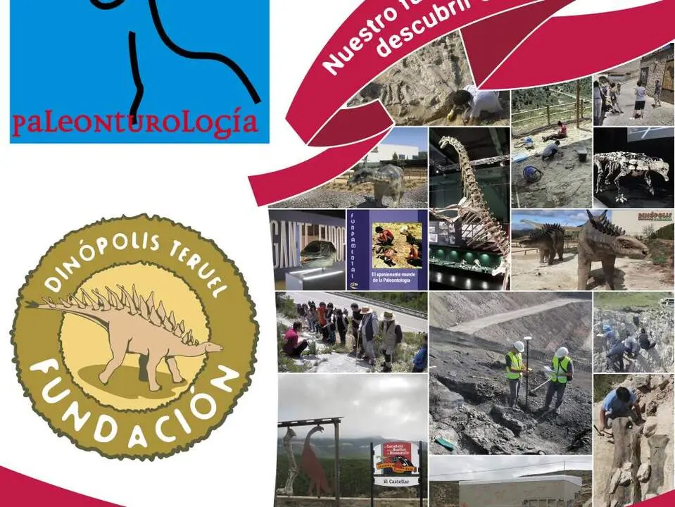 20260504 premio investigacion paleontologia