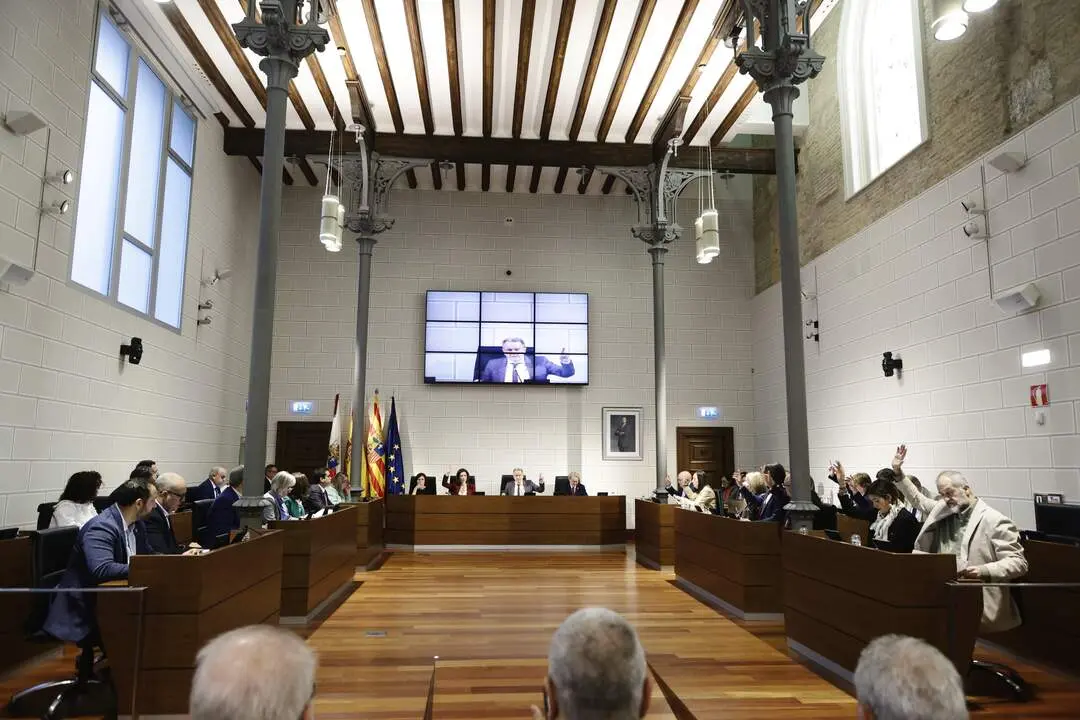 20260513 DPZ pleno AR&Aacute;NZAZU NAVARRO