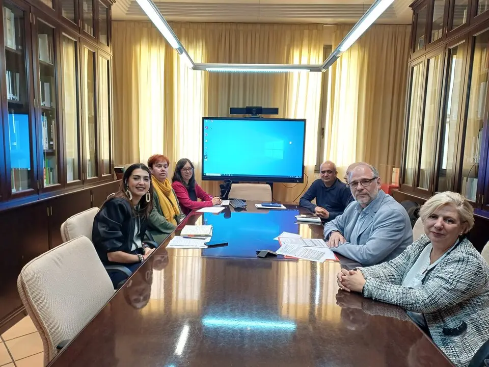 20260515 DPZ ayudas internacionales emergencias