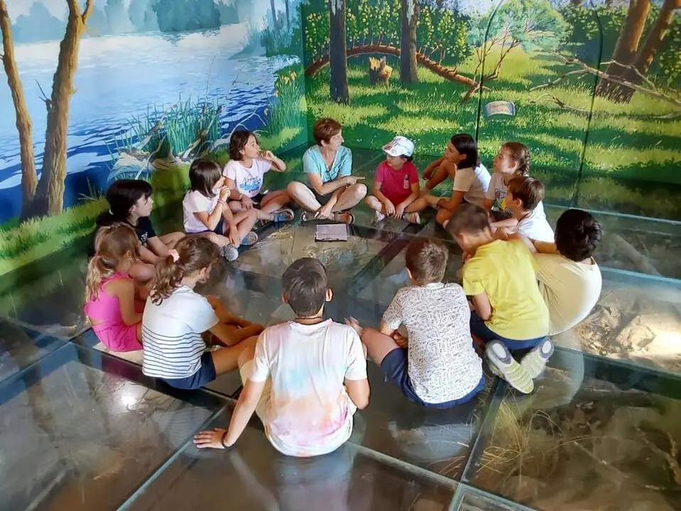 20260518 campus verano Alfranca