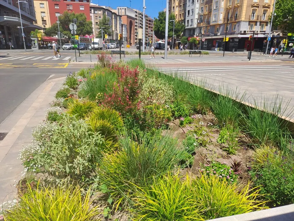 20260526 Zaragoza parterres floridos barrios