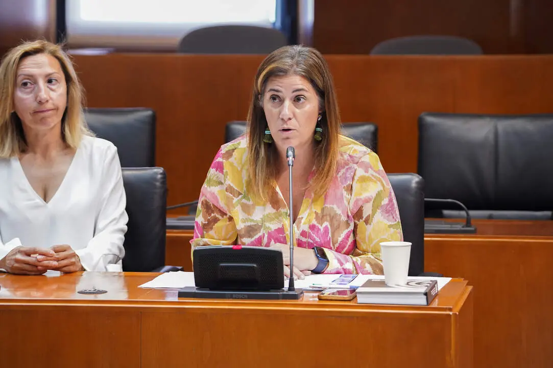 20260601 PP Contribuyente TerritorioTABANERA