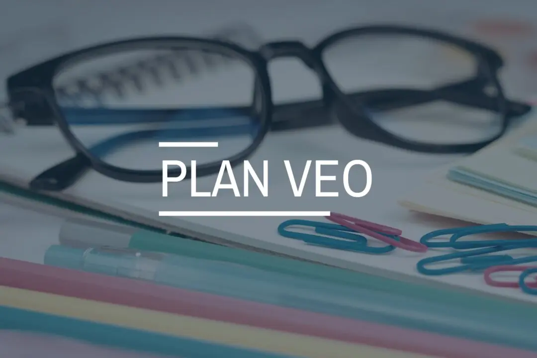 20260615 Nacional-que-es-el-plan-veo