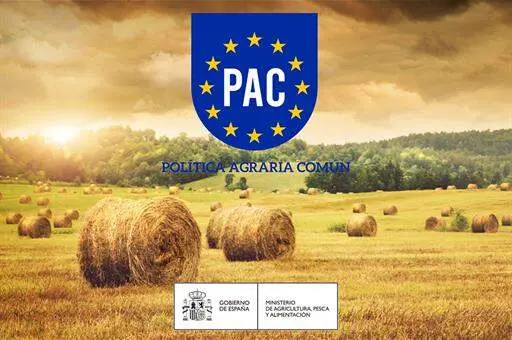 20260617 Nacional PAC ayudas digital