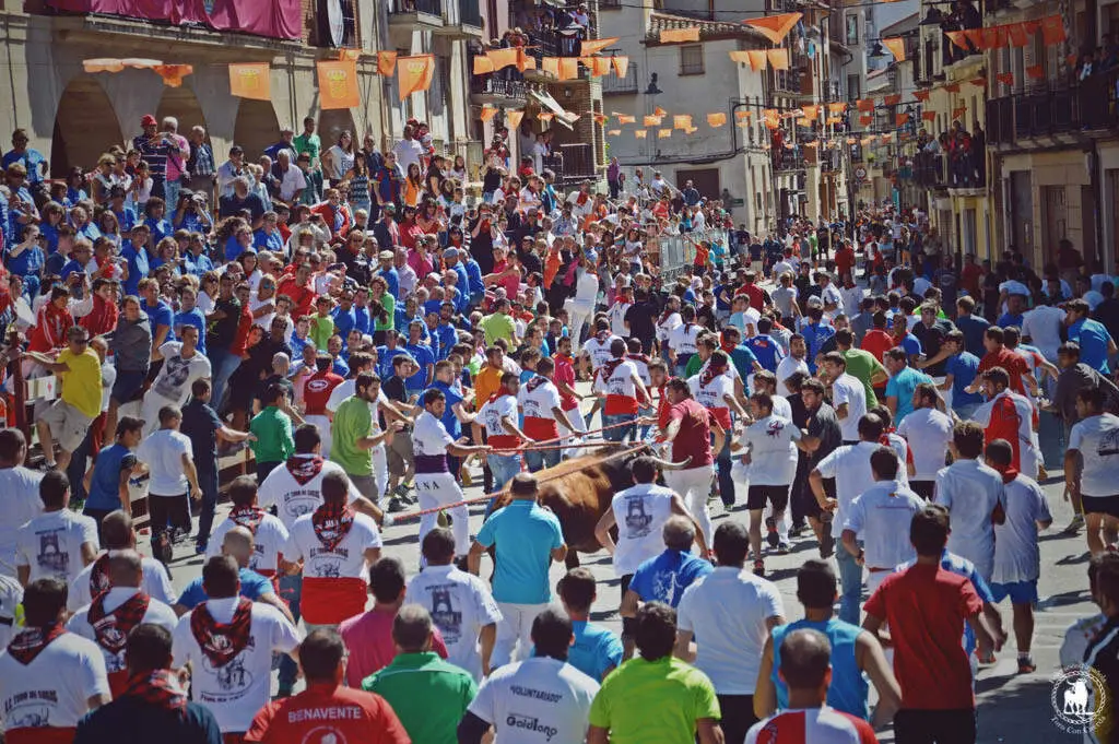 20260618 fiesta del toro de sogas Pina de Ebro
