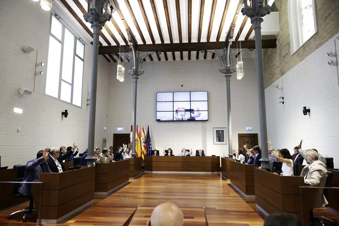 20260708 DPZ Pleno julio FOTO AR&Aacute;NZAZU NAVARRO