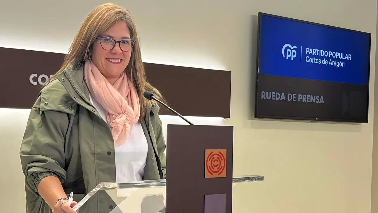 20251110 PP cortes SUSANA GASPAR medidas sanidad