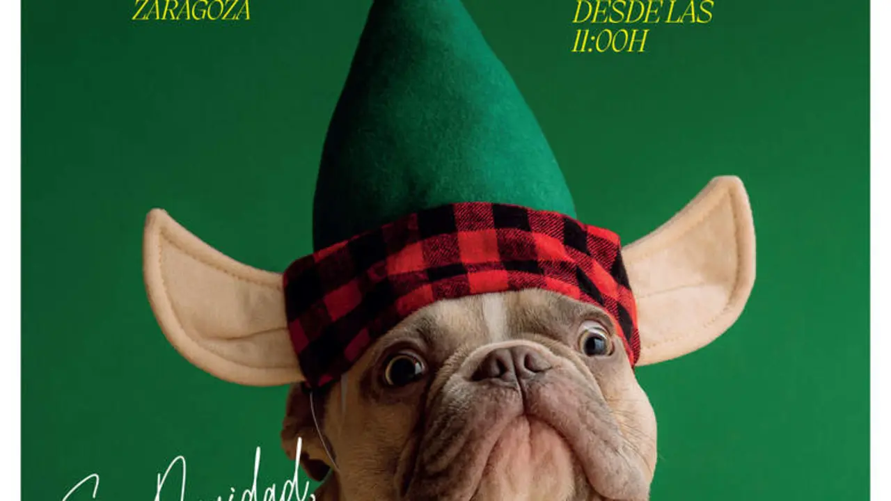 Fashion Pet Christmas, con el lema "En Navidad, cuenta con ellos"