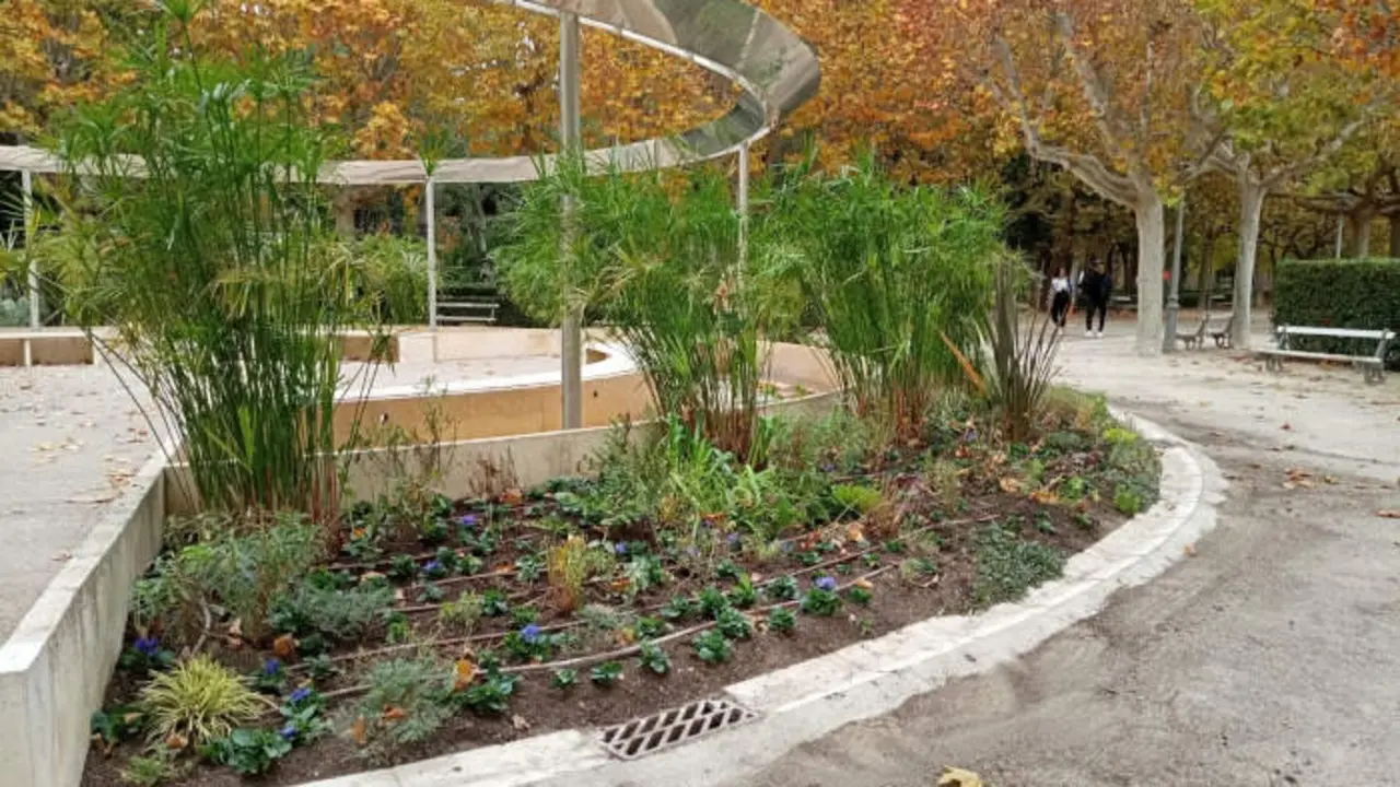 El Ayuntamiento de Huesca refuerza la sostenibilidad urbana con la renovaci&oacute;n de parterres y jardineras de invierno