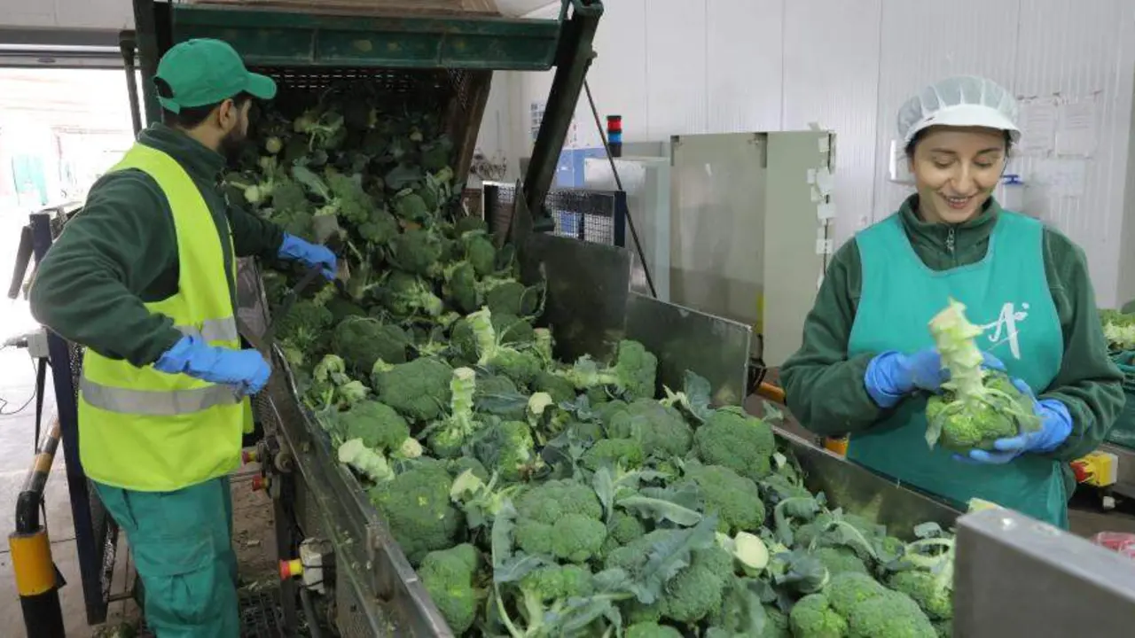R&eacute;cord de solicitudes en el plan de ayudas a las industrias agroalimentarias de Arag&oacute;n