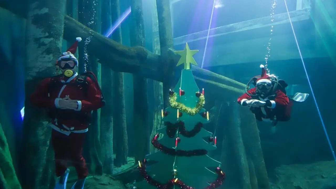 20251217 BUZOS ARBOL DE NAVIDAD FAZB Zaragoza