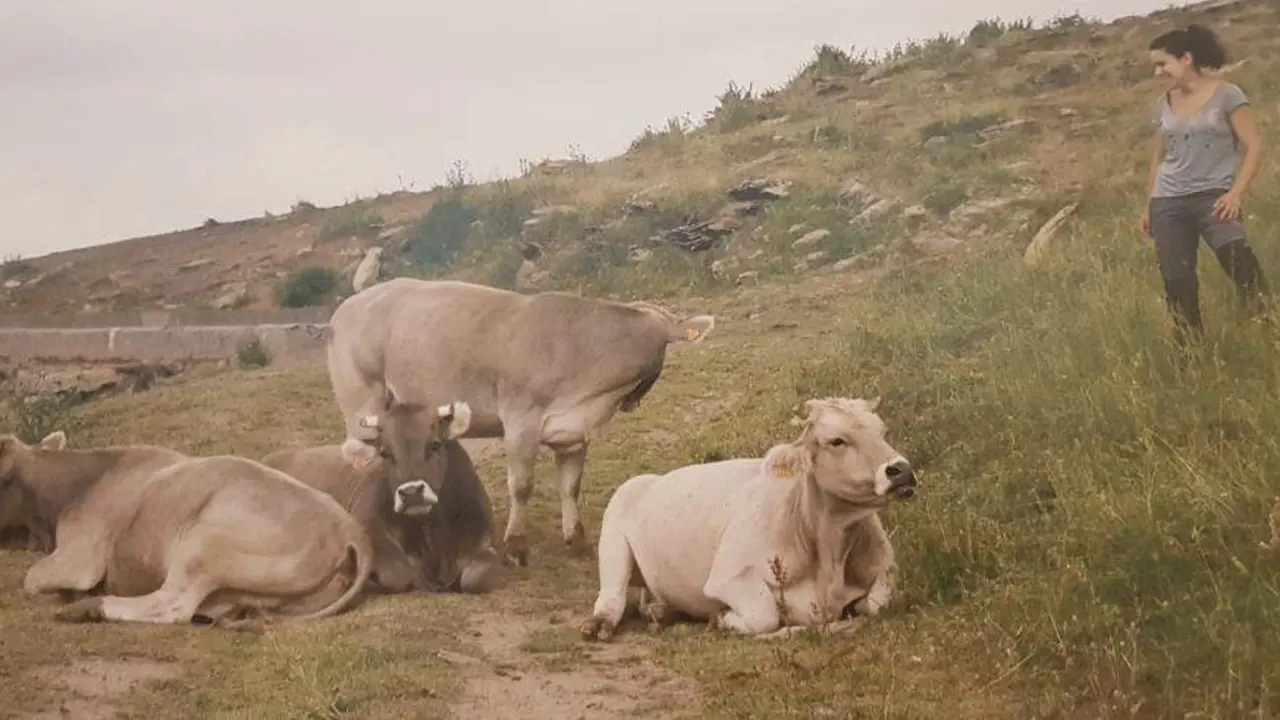 20251218 igualdad agricultura y ganaderia aragon