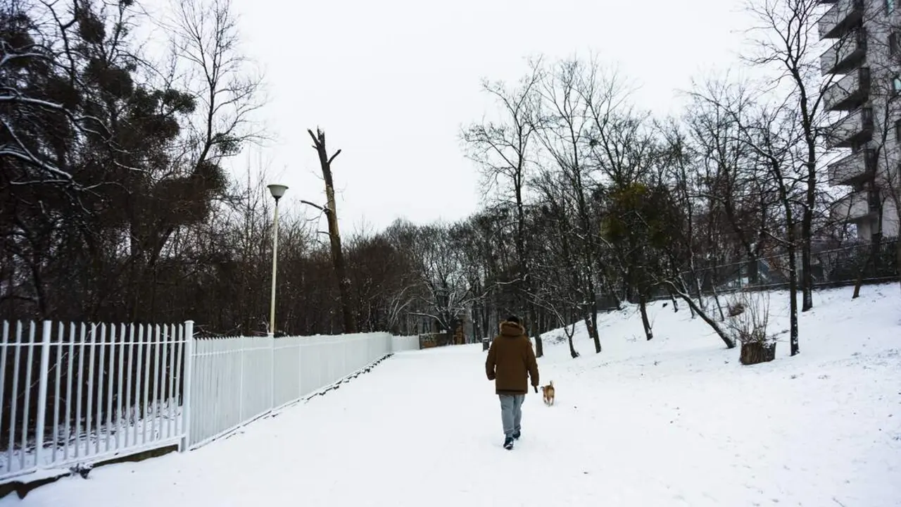 20260102 hombre-paseando-su-perro-sobre-un-terreno-cubierto-de-nieve-durante-el-invierno