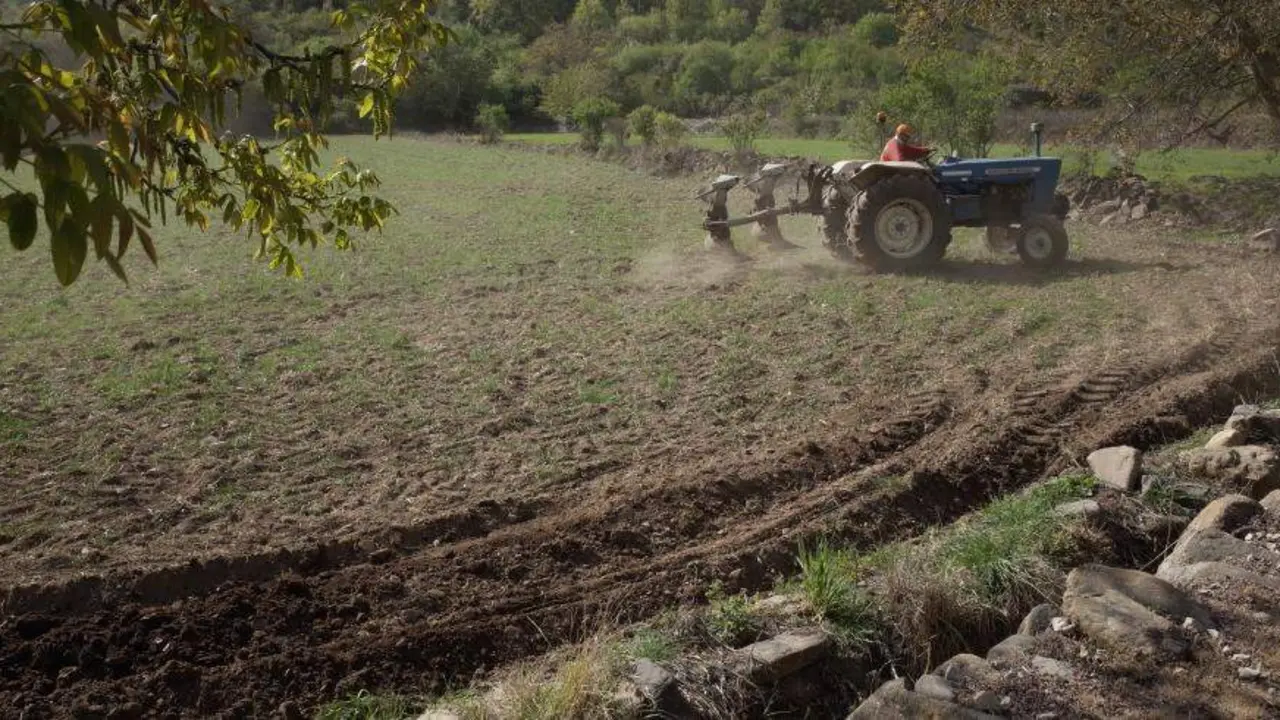 20260104 aragon seguros agrarios