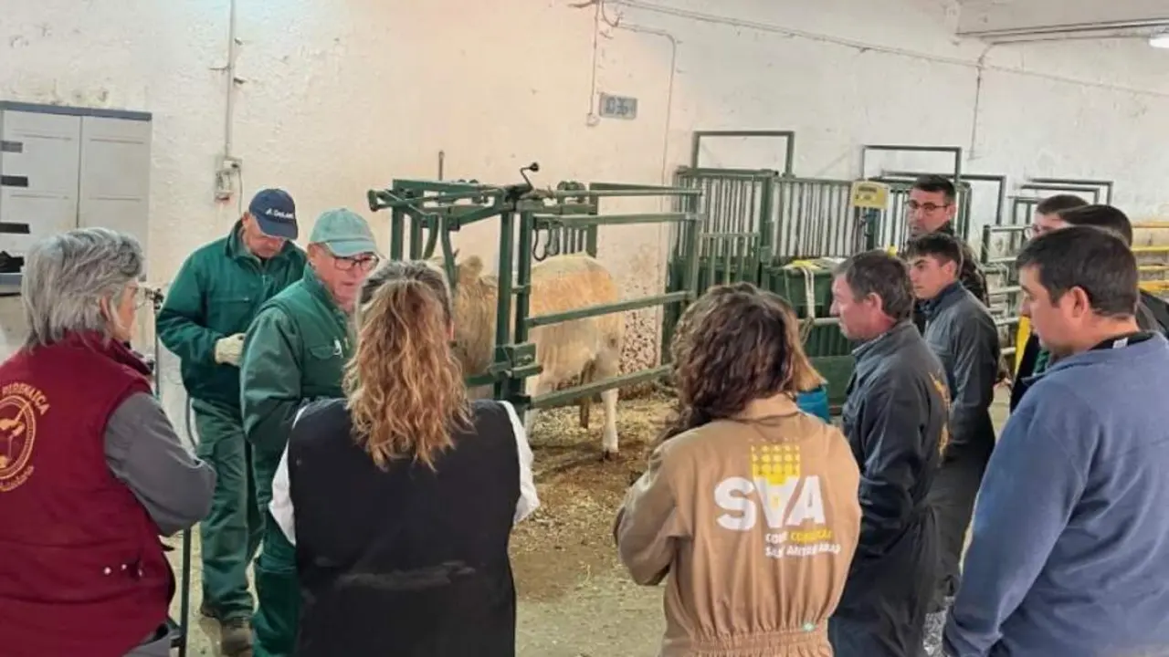 20260104 CITA Garcipollera formacion ganaderia
