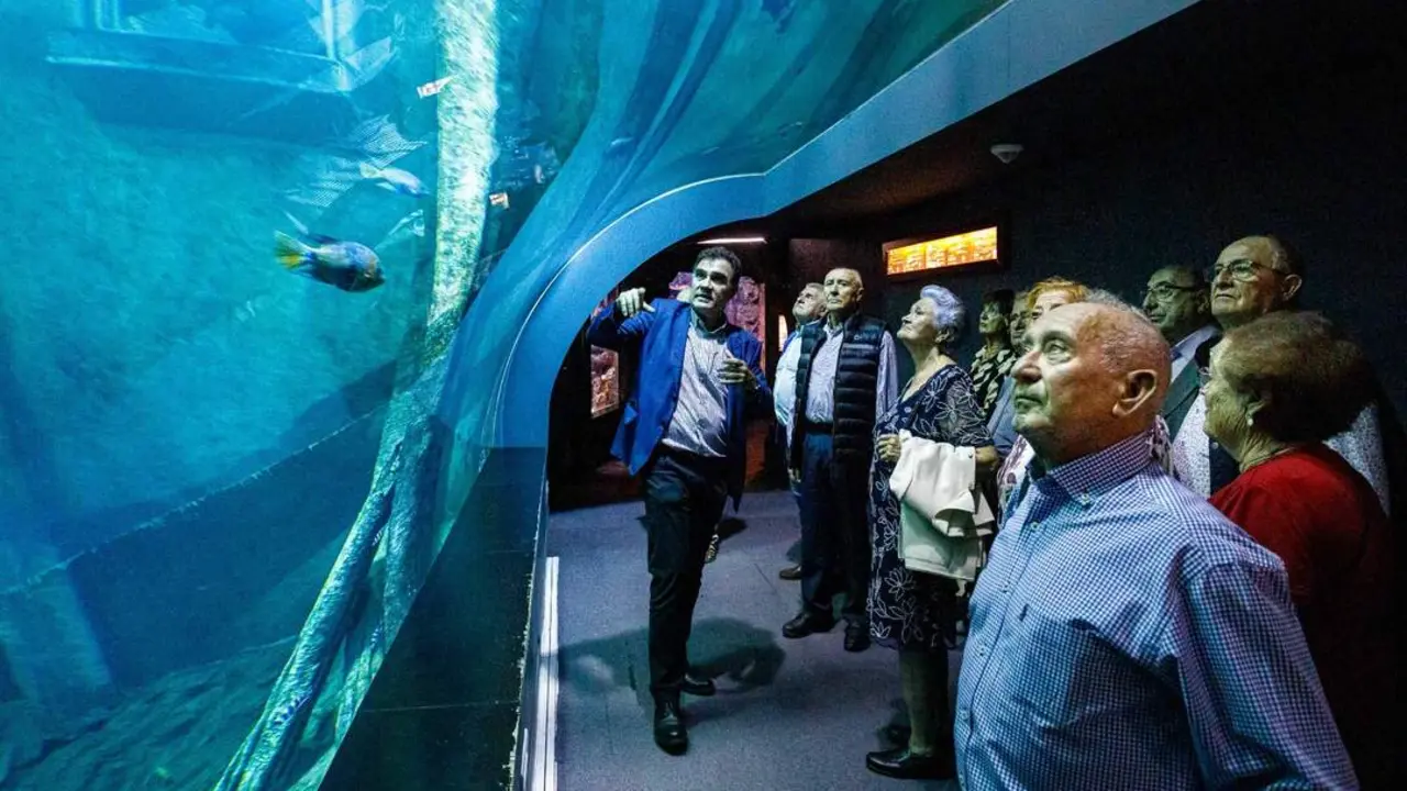 20260107 acuario zaragoza visita centros de convivencia mayores 2025 (2)