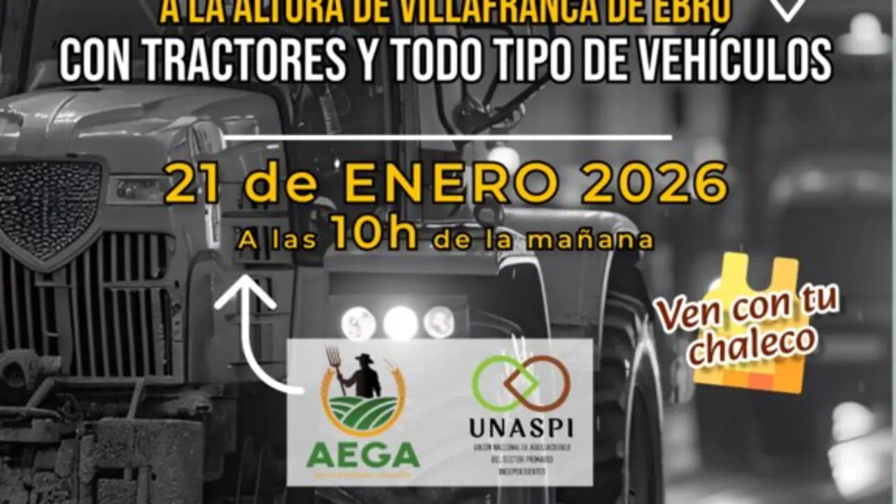 20260116 AEGA Corte48h