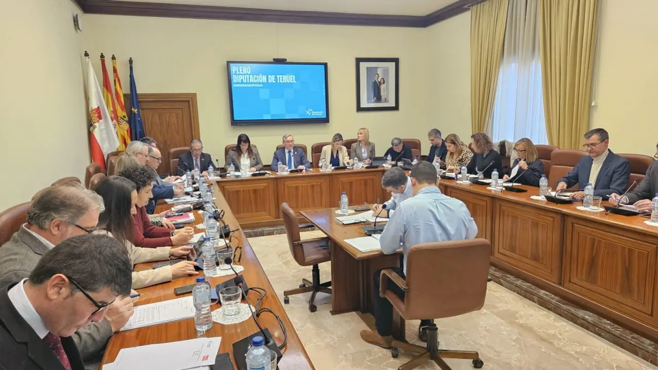 20260128 DPT Pleno Enero 