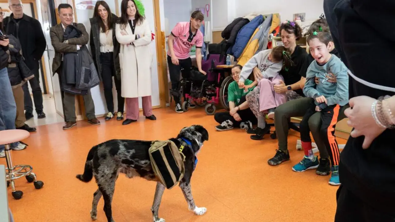 20260211 andada canina zaragoza