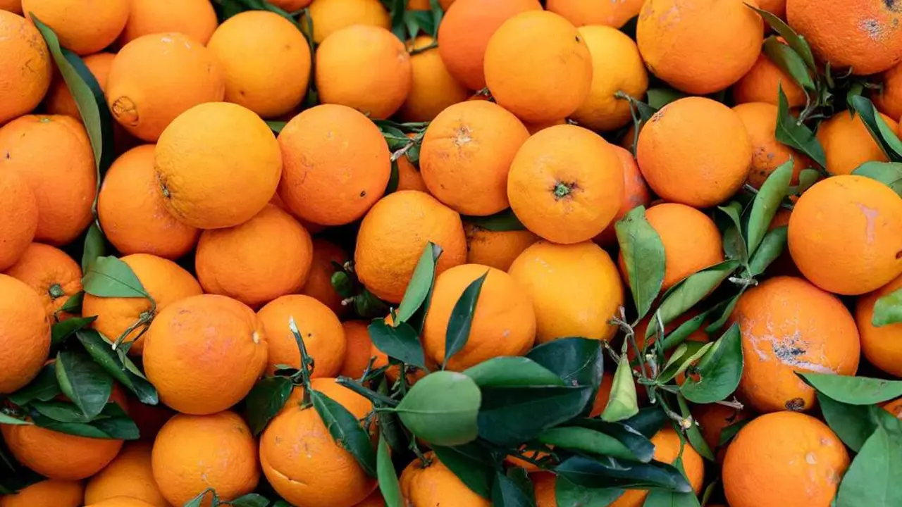 healthy fruit oranges on market stall oranges background
